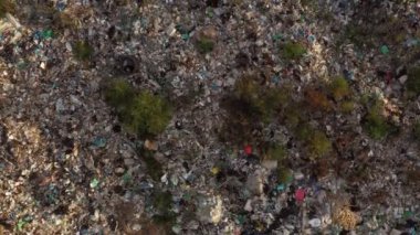 Kırsal alanda bir çöp yığını. Kirli yaz manzarası. Havadan üst görünüm.