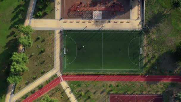 Campo Fútbol Verde Artificial Parque Vista Superior Aérea — Vídeo de stock