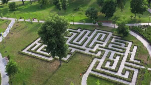 Vista Aérea Superior Jardim Labirinto Verde Labirinto Feito Arbustos — Vídeo de Stock