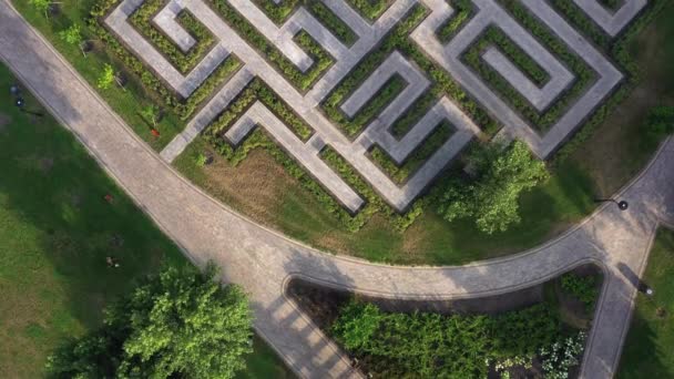 从空中俯瞰绿色迷宫花园 荆棘丛林中迷宫 — 图库视频影像