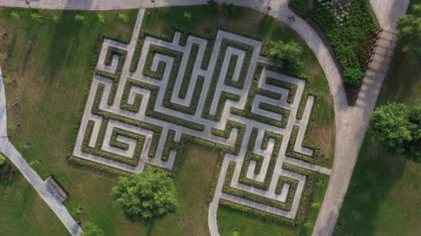 Αεροφωτογραφία Του Κήπου Πράσινο Λαβύρινθο Λαβύρινθος Από Θάμνους — Αρχείο Βίντεο