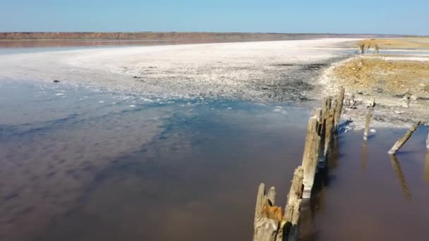 Tuzlu Ahşap Direkli Deniz Köpüğü Suyu Odessa Ukrayna Daki Estuary — Stok video
