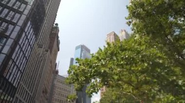 Bu görüntü modern gökdelenlerin Manhattan şehir merkezindeki yemyeşil yeşil gökdelenlerin yükselişini gösteriyor. Cam mimarisi ve ağaçların karışımı canlı bir şehir manzarası yaratır..