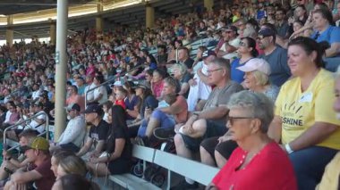 Orlando, Florida, ABD - 11.15.2024: Deniz Dünyası 'nda heyecan verici bir deniz gösterisini heyecanla izleyen çeşitli bir kalabalık. Aileler, arkadaşlar ve çocuklar parlak güneşin altındaki canlı atmosferin tadını çıkarıyorlar..