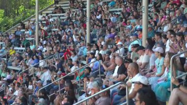 Orlando, Florida, ABD - 11.15.2024: Aileler ve arkadaşlar Deniz Dünyası 'nda heyecan verici bir deniz gösterisinin tadını çıkarıyorlar. Ziyaretçiler, göstericileri ve deniz hayvanlarını güneş ışıl ışıl parlarken izleyerek, her yaş için şenlikli bir atmosfer yaratıyor..