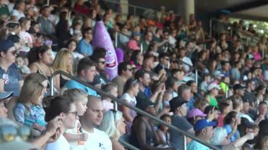 Orlando, Florida, ABD - 11.15.2024: Aileler, Deniz Dünyası 'nda canlı bir deniz yaşamı performansı sergiliyorlar. Herkes hevesle izlerken kahkahalar ve tezahüratlar havayı dolduruyor..