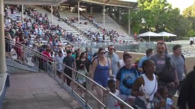 Orlando, Florida, ABD - 11.15.2024: Aileler ve çocuklar büyüleyici gösteriler ve deniz yaşamının gösterimlerinden zevk almaya hazır canlı bir su parkında toplanıyorlar. Seyirciler yerlerini alırken atmosfer beklentiyle doludur..