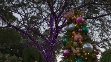 Parlak bir gök mavisi, pembe, turuncu ve gümüş süslemelerle süslenmiş canlı bir Noel ağacı yumuşak akşam ışığı altında parıldıyor. Arka planda, parlak mor sicim ışıklarına sarılmış ağaçlar açık hava parkında büyülü bir tatil atmosferi yaratıyor..