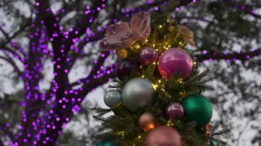 Güzel dekore edilmiş, canlı süslerle süslenmiş Noel ağacının ve bir bayram kutlamasında yanıp sönen ışıkların keyfini çıkarın. Mevsimsel neşeyle ortam büyüleyici..