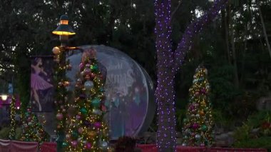 Orlando, Florida, ABD - 11.15.2024: Deniz Dünyası 'nda Noel tatili boyunca pırıl pırıl ışık ve parlak süslemelerle dolu neşeli bir atmosferin tadını çıkarın. Aileler renkli ağaçlar ve şenlikli gösterilerle çevrili kutlama yapmak için toplanıyor..