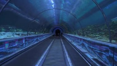 Marine Park 'taki sualtı tünelinde sakin bir an yaşayın. Bu çarpıcı su ortamında ziyaretçiler yürürken canlı deniz yaşamı görülebilir..