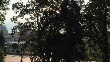 Ağaç yaprağının arkasındaki parlak akşam güneşi. Yeşil yaz yaprakları.