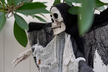 Siyah kapüşonlu bir Azrail yırtık pırtık gazlı bez yayar. Cadılar Bayramı dekorasyonu yapraklar ve dallar arasında.