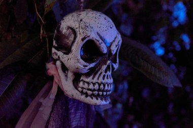 Karanlıkta serin mavi ışığın aydınlattığı ürkütücü bir kafatası pervanesine yakın çekim. Boya ve derin göz çukurları ürkütücü Cadılar Bayramı ayrıntıları ekler..