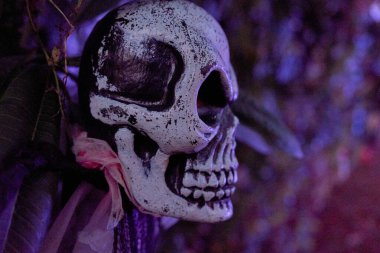 Korkunç kafatası dekorasyonu mavi ve mor gece lambasıyla aydınlatılmış. Boya ve derin göz çukurları ürkütücü bir Cadılar Bayramı ayrıntısı yaratır..