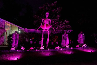 Pembe flamingo kuleleri olan büyük bir iskelet ön bahçenin üzerinde mor renkle aydınlatılmış. Kapüşonlu hayaletler ve bahçe flamingoları gece ışıklarının altında parlıyor..