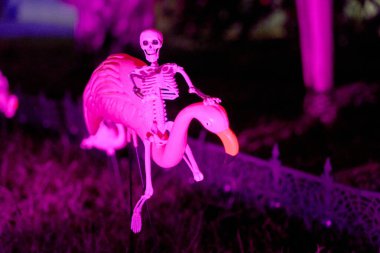 Küçük iskelet, geceleri pembe bir flamingo çim süsünün üzerinde mor neon ışıkla durur. Neşeli, neşeli ve neşeli cadılar bayramı havasında ürkütücü bir bahçe gösterisi..