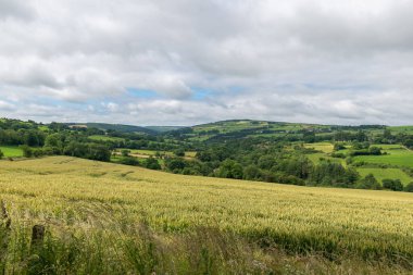 İrlanda 'dan yaz manzara fotoğrafçılığı.