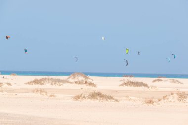 Kitesurfers enjoying strong wind and high waves at Playa del Medano.