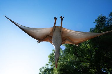 Fotoğrafçının üzerinde uçan tam boyutlu animasyon dinozor..