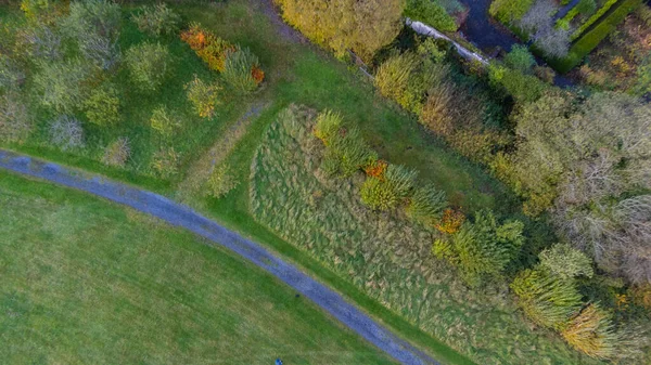 アイルランドの真ん中の緑豊かなフィールドと牧草地の上に見事な空中ショット — ストック写真