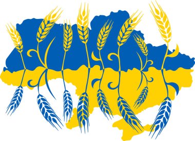 Ukrayna 'nın Ukrayna bayrağının sarı ve mavi renklerinde buğday kulaklarının ayna yansıması ile dekore edilmiş haritası