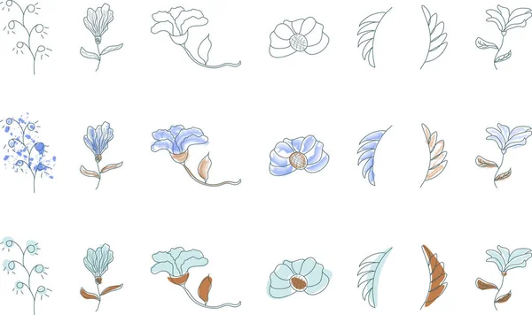 一套植物学上的涂鸦 连续画线透明水彩画的抽象图形元素 — 图库矢量图片