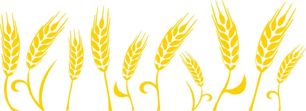 透明な背景に黄色で着色された小麦の耳のシルエットとグラフィカルな境界線 — ストックベクタ