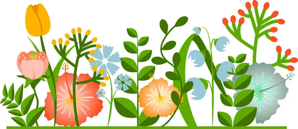 Decorative Border Made Various Summer Spring Garden Plants Flowers Leaves — Stock Vector
