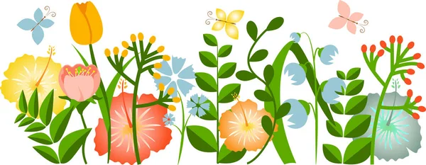 Dekorative Bordüre Aus Verschiedenen Sommer Und Frühjahrspflanzen Mit Blütenblättern Und — Stockvektor
