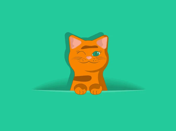 Empty Solid Green Background Hiding Ginger Tabby Cat Template Holiday — Stock Photo, Image