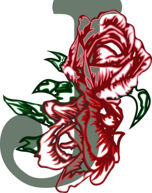 Contour gülü çiçekleri izole edilmiş baş harfli J harfi saydam arkaplan üzerine dizayn edilmiş tebrik kartları ve düğün davetiyeleri için.