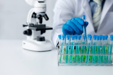 Lab assistant, a medical scientist, a chemistry researcher holds a glass tube through the blood sample, does a chemical experiment and examines a patient's blood sample. Medicine and research concept.