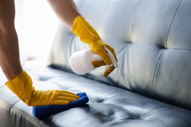 Odayı temizleyen kişi, temizlik personeli şirket odasındaki kanepeleri silmek için bez ve dezenfektan kullanıyor. Temizlik personeli. Organizasyondaki temizliği sürdürmek.