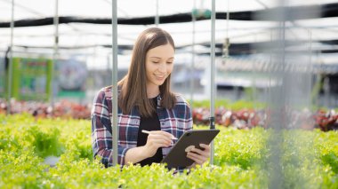 Young woman owns a hydroponic vegetable garden, she grows wholesale hydroponic vegetables in restaurants and supermarkets, organic vegetables. new generations growing vegetables in hydroponics concept