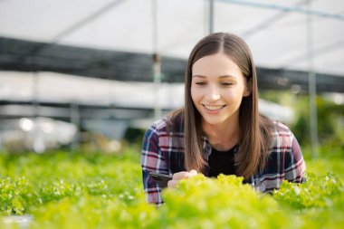 Young woman owns a hydroponic vegetable garden, she grows wholesale hydroponic vegetables in restaurants and supermarkets, organic vegetables. new generations growing vegetables in hydroponics concept