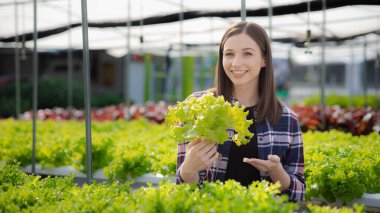 Young woman owns a hydroponic vegetable garden, she grows wholesale hydroponic vegetables in restaurants and supermarkets, organic vegetables. new generations growing vegetables in hydroponics concept
