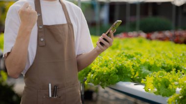 Man owns hydroponic vegetable garden holding a phone, he grows wholesale hydroponic vegetables in restaurants and supermarkets, organic vegetables. The idea of growing hydroponic vegetables.