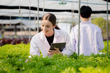 Researchers in hydroponic vegetable gardens are collecting samples to test vegetables grown from research water and examining the water used for growing hydroponic vegetables on the farm.