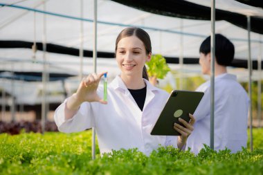 Researchers in hydroponic vegetable gardens are collecting samples to test vegetables grown from research water and examining the water used for growing hydroponic vegetables on the farm.