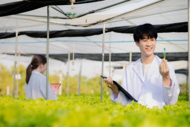 Researchers in hydroponic vegetable gardens are collecting samples to test vegetables grown from research water and examining the water used for growing hydroponic vegetables on the farm.