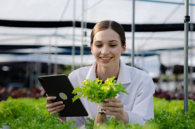 Researchers in hydroponic vegetable gardens are collecting samples to test vegetables grown from research water and examining the water used for growing hydroponic vegetables on the farm.