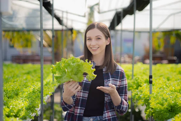 Young woman owns a hydroponic vegetable garden, she grows wholesale hydroponic vegetables in restaurants and supermarkets, organic vegetables. new generations growing vegetables in hydroponics concept