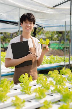 A young man owns a hydroponic vegetable garden, he grows wholesale hydroponic vegetables in restaurants and supermarkets, organic vegetables. new generations growing vegetables in hydroponics concept