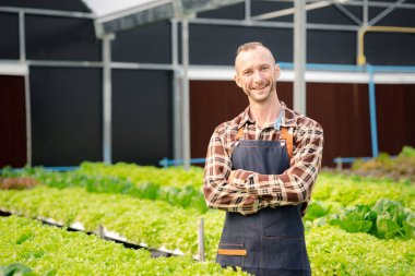 Bir adamın hidrofonik sebze bahçesi var. Restoranlarda, süpermarketlerde, organik sebzelerde toptan hidroponik sebzeler yetiştiriyor. Hidroponik konseptinde sebze yetiştiren yeni nesiller