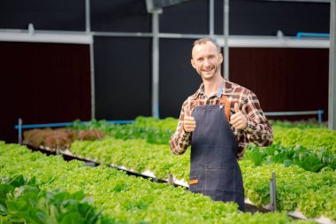 Bir adamın hidrofonik sebze bahçesi var. Restoranlarda, süpermarketlerde, organik sebzelerde toptan hidroponik sebzeler yetiştiriyor. Hidroponik konseptinde sebze yetiştiren yeni nesiller