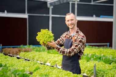 Bir adamın hidrofonik sebze bahçesi var. Restoranlarda, süpermarketlerde, organik sebzelerde toptan hidroponik sebzeler yetiştiriyor. Hidroponik konseptinde sebze yetiştiren yeni nesiller