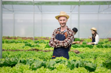 Bir adamın hidrofonik sebze bahçesi var. Restoranlarda, süpermarketlerde, organik sebzelerde toptan hidroponik sebzeler yetiştiriyor. Hidroponik konseptinde sebze yetiştiren yeni nesiller