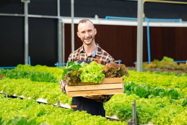 Bir adamın hidrofonik sebze bahçesi var. Restoranlarda, süpermarketlerde, organik sebzelerde toptan hidroponik sebzeler yetiştiriyor. Hidroponik konseptinde sebze yetiştiren yeni nesiller