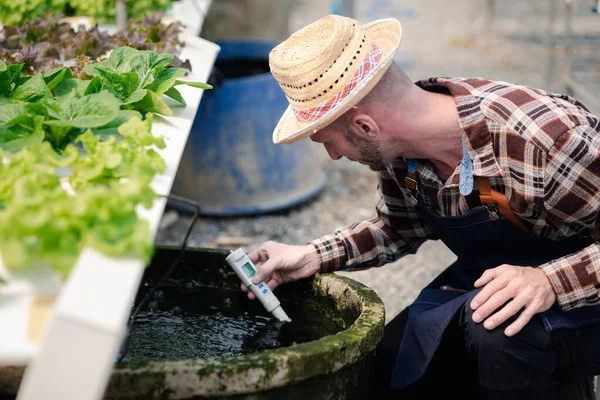 A male farmer who owns a hydroponic vegetable garden is checking the quality of water used for growing vegetables, maintaining a quality and non-toxic hydroponic garden.